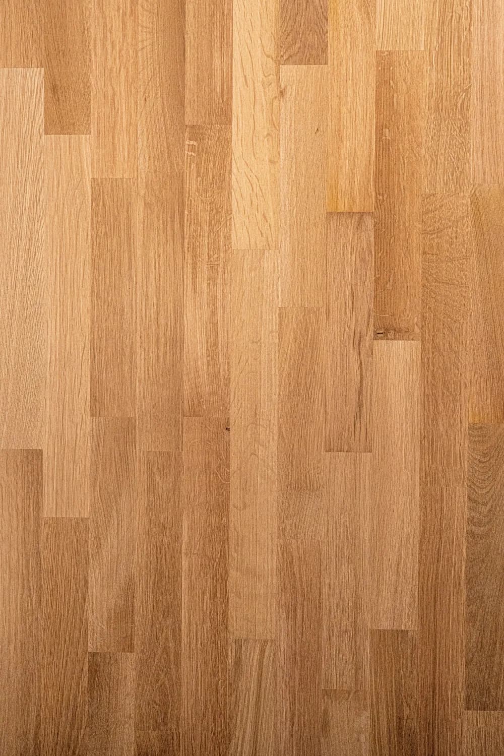 Ladin Masif Panel